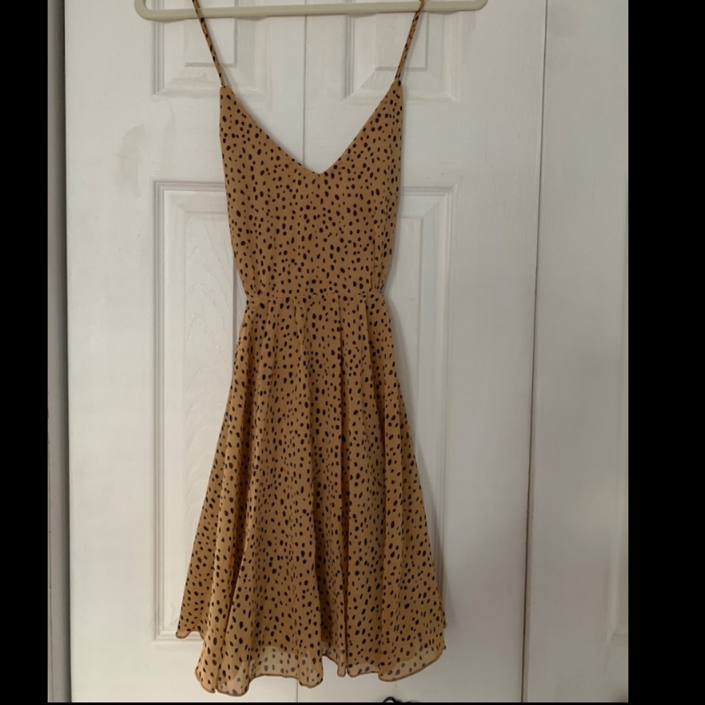 Forever 21 Printed Mini Dress